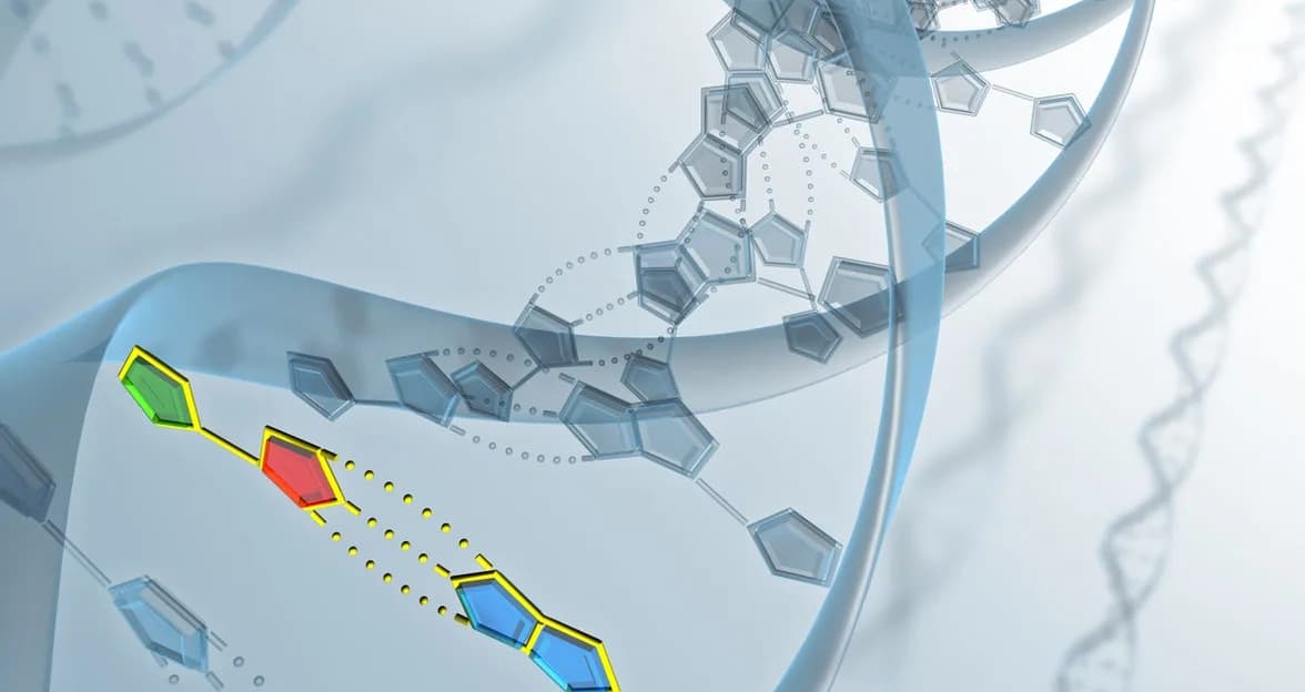 DNA sequencing illustration for gut microbiome analysis