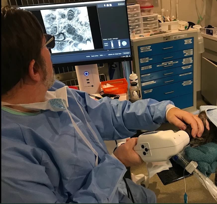 Confocal imaging for cancer diagnostics