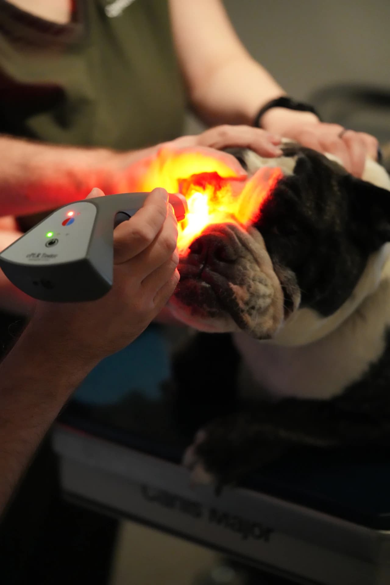 Chromatic pupil light reflex testing with red light