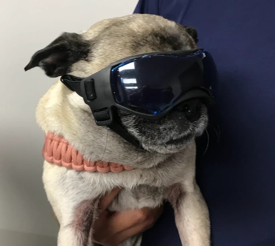 Glasses Fitting