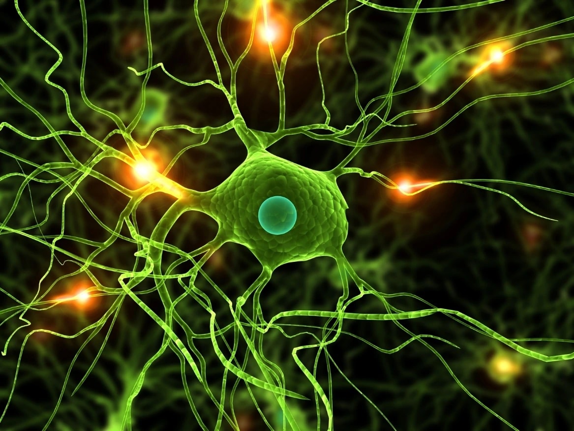Illustration of interconnected nerve cells